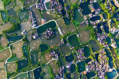 從速度型增長轉(zhuǎn)向質(zhì)量型增長,華僑城主動求變