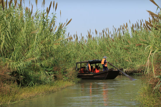 蕩起雙槳?jiǎng)澴叨?江蘇春天泛舟好去處 (2)_新浪旅游_新浪網(wǎng)