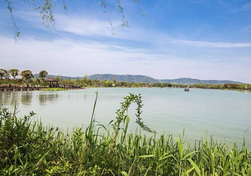 清明出游好去處 全國多景區(qū)免費(fèi)開放，沙家浜成無錫游客優(yōu)選