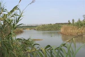 沙家浜風景區全攻略 門票、地址、亮點與游玩路線一網打盡