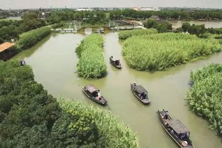 烽火蘆蕩，青春定向 2019首屆華僑城杯沙家浜紅色定向賽邀您啟程